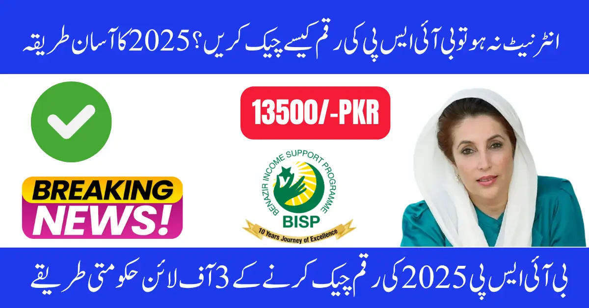 Benazir 8171 Payment Tracking 2025 How to Check Your Status Without Internet Access